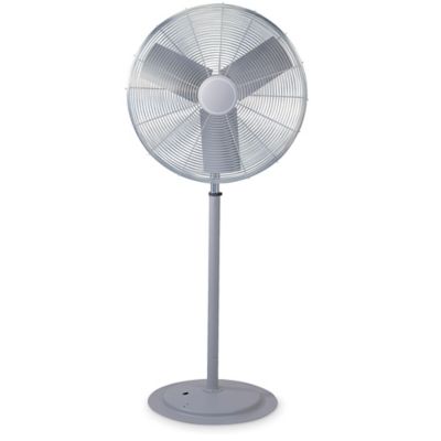 Pedestal Fans