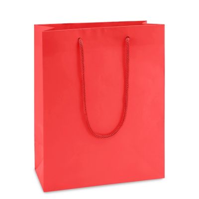 Matte Laminate Shopping Bags