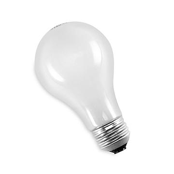 Halogen Incandescent Light Bulbs
