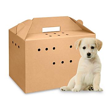 Caja de Cartón para Mascotas