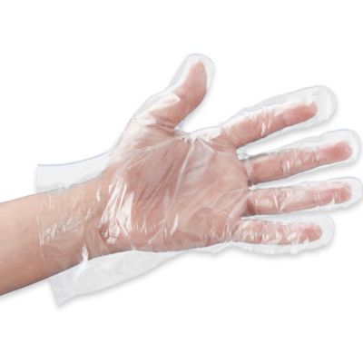 Food Service Gloves